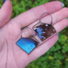 Blue Morpho Butterfly Vertex Hoop Earrings