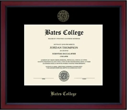 Gold Embossed Achievement Diploma Frame