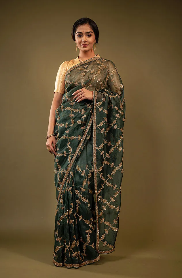 Organza Vintage Work Saree