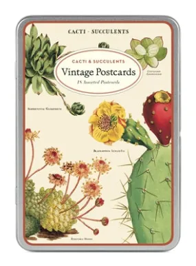  Succulents  Postcards